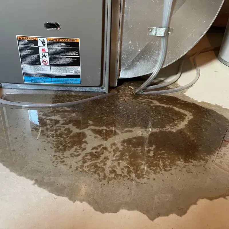 Appliance Leak Cleanup in Somerset County, ME